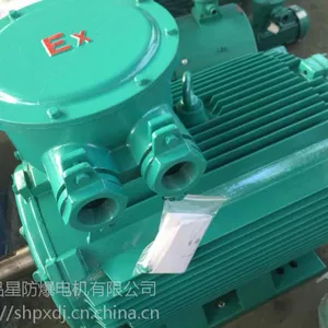 隔爆型变频调速电动机
