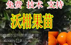����2017�ָ���۸�