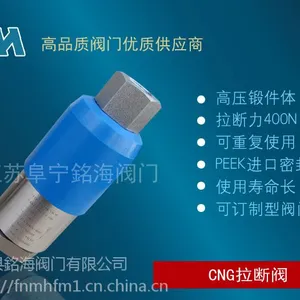 铭海压缩天然气拉断阀