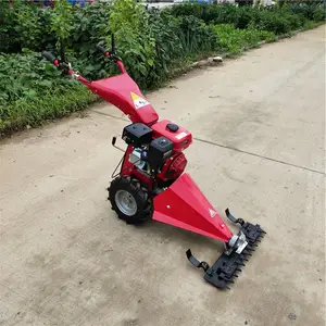 ����ʽ԰���޼��� ԰�ֱ������͸�ݻ� �ַ���