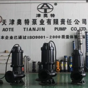 天津津奥特生产制造的品质耐用的大流量污水潜水泵品质好