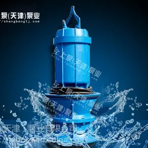 广东500QZB潜水轴流泵的生产厂家