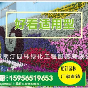 墙体绿化花盆/植物墙种植盒厂家批发 墙体外挂花盆