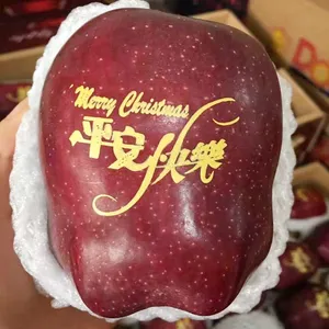 ������ҵ��������Ӫ���߻�ר���ֱֳ�Яʽ���˼���������������޵�̴���