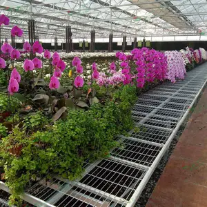 开封新品温室苗床潮汐式灌溉系统温室用