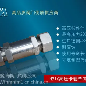 超高压气体不锈钢进口止回阀H11X1