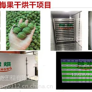 �Ǻ�����÷���濾�����ɳ�ʪһ�廯���ĵ����ϵ��ٺ�����̵���÷�������ϵͳZH-JN-HGJ03