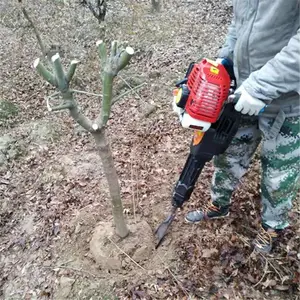 ������������ �ϸ�������ͼƬ ������