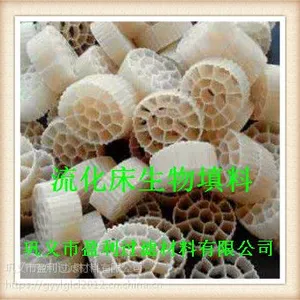 污水处理MBBR生物膜悬浮φ25mm流化床填料
