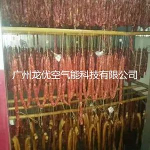 龙优腊肠烘干机厂家 空气能腊肠烘干房