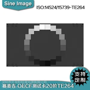 ESSER爱莎灰阶测试卡TE264OECF20阶***14524/15739chart图卡