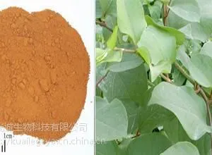 尚诚生物 虎杖提取物 白藜芦醇 虎杖苷 工厂直供