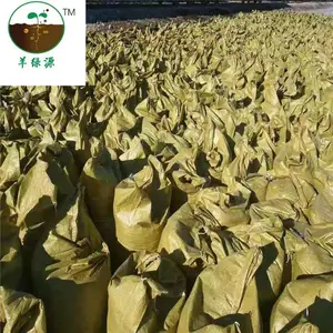 ���ɹ�ɢװ���ͷ��鴿��࣬���﷢���л������� ������࣬�л���ֲר��