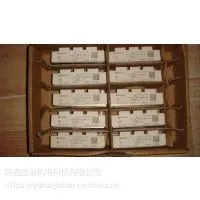 ����һ������SEMIKRON���ſ� �¹�ԭװ���ſ������׿أ��ɿع裬IGBTģ�飬���ʵ�Ԫ