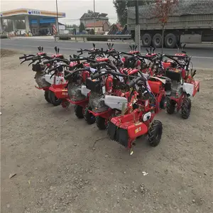 ˮ������԰���ػ� �¿��п�����л� �Ʒ�