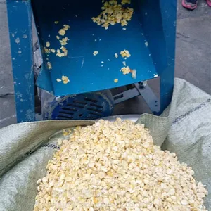 ���õ����׸�������� ʥ³��ʳѹ���