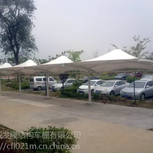 公司企业从事膜结构车棚技术工程开发