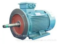 供应YSB 180L-4-22KW 管道泵专用电机-山东开元