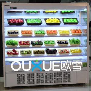广西南宁什么品牌的水果风幕柜质量比较好