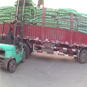 ������ ���������� ���˸�����