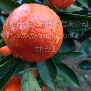 湖南千思农林科技有限公司