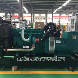 潍柴动力蓝擎150千瓦柴油发电机组 WP10D200E200