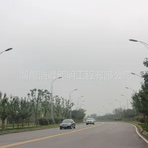 株洲LED市政路灯批发 城市道路灯施工安装方案 市政路灯造价预算