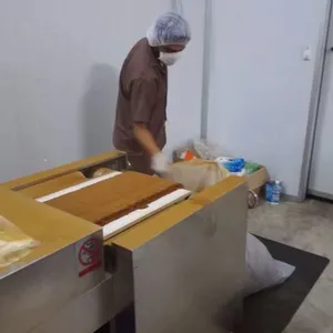 湖北微波粉体烘干灭菌机厂家