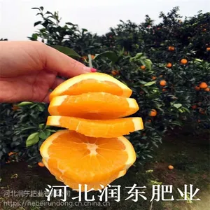 批发有机肥 代理有机肥 有机肥厂家 诚招全国代理 真诚合作