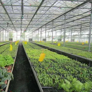 溧阳潮汐苗床 潮汐式育苗床的用途以及特点