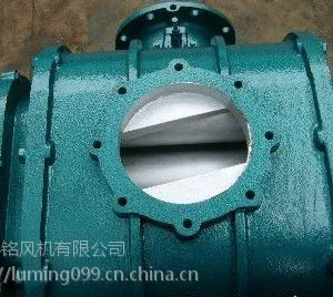 LSR65罗茨真空泵罗茨泵厂家直销