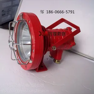 DGS24/127L(A)矿用隔爆型LED投光灯