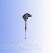 淮安WRNK-231D炉管刀刃热电偶
