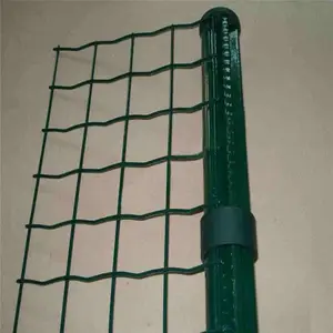 ��������ɫ �������������� ��ֳ��˿��Χ��