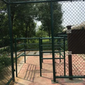 安平竞和丝网供应湖南浸塑PE/PVC涂塑铁丝体育场围栏、勾花网围网