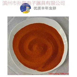 ������� ����Ϻ�� ±���� ������ȫӢ�İ�װ����� ����������
