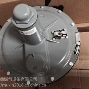 FISHER���ڼ�ѹ��������ϣ��133H-2