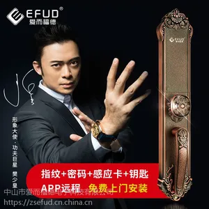 供应爱而福德 小区专用电子锁 别墅大门锁 双开铜门锁 防锡纸 防盗锁 指纹锁图大全