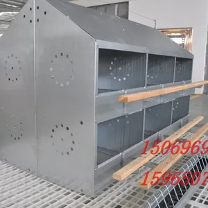种鸡专用产蛋箱生产厂家厂家批发产蛋箱山东产蛋箱价格 定制土鸡产蛋箱 人工铁皮产蛋箱多穴集蛋窝