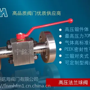 Q41N-320P锻钢不锈钢法兰式高压球阀