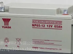 NP65-12汤浅免维护密封式铅酸蓄电池 12V6***H直流屏ups电源专用