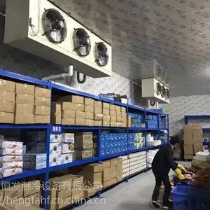 专业安装 厂家直销大中小型冷库 除湿 低温冷藏报价