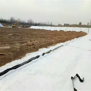 5000����������ˮ̺����