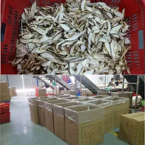 随州香菇丝 香菇片 香菇粒 品质*** 味道鲜美100g装