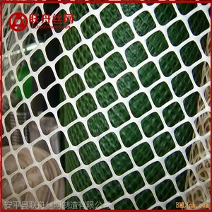 �����������ŵ� ��ɫ����ϩ������Ƭ ��ֳ©ʺ����