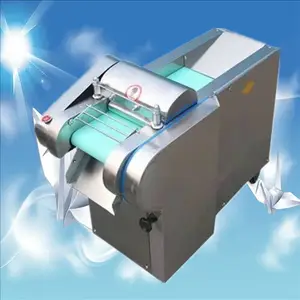 �����ص綯������в˻� �������¿���ܲ���Ƭ�� �����˿������