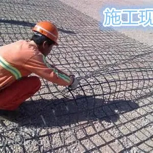 钢塑土工格栅 厂家直销 现货供应 江苏南京
