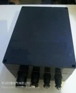 不锈钢防爆防腐接线箱