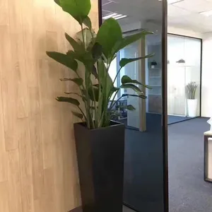 天堂鸟 供应上海办公楼绿植租赁 鲜花盆栽租摆 室外景观 绿植养护 免费上门设计