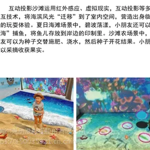 ֣�����ڻ���ͶӰ�豸 �������� ����ɳ̲ �����Ĵ� �������